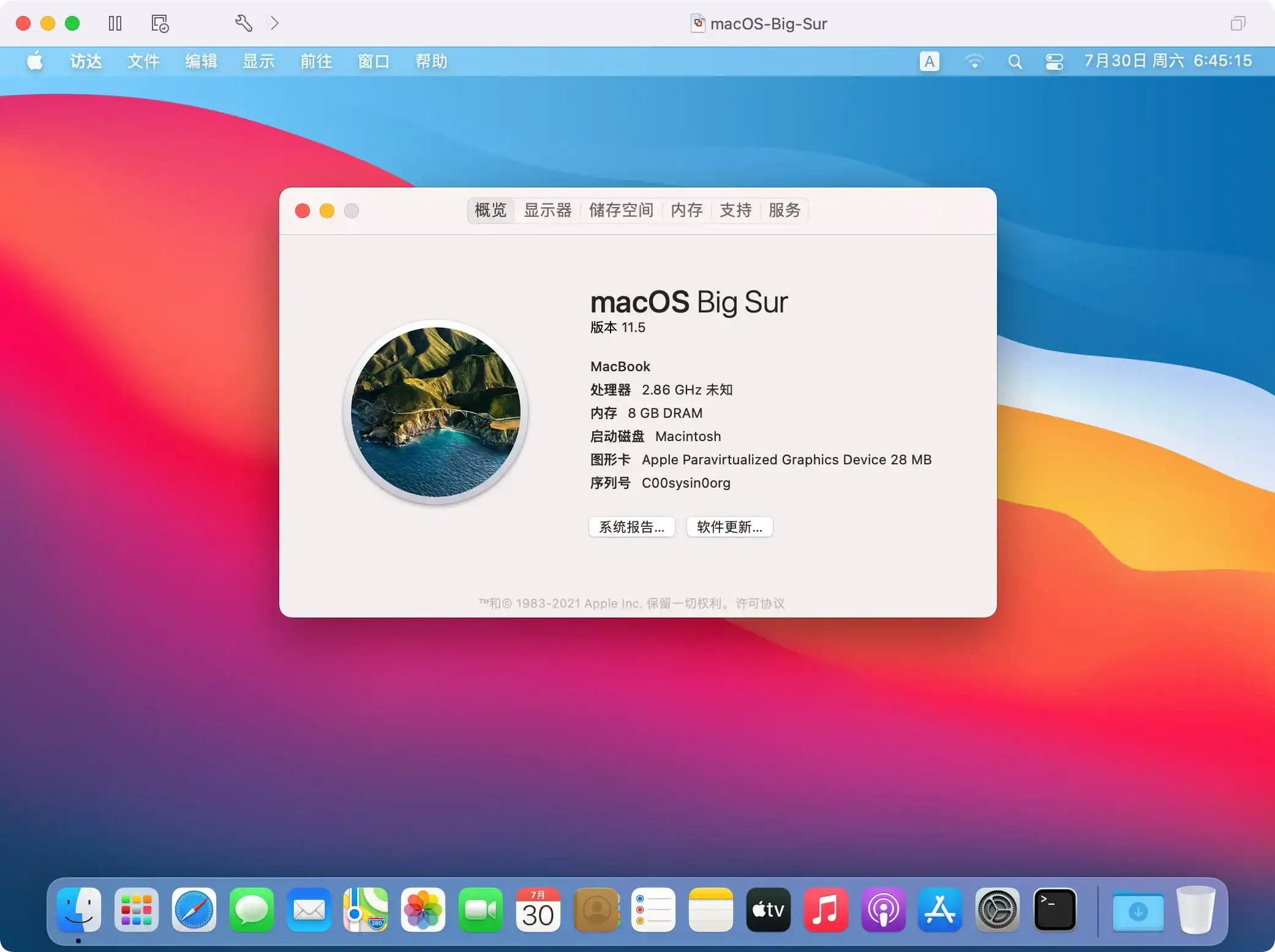 macOS Big Sur 运行在 VMware Fusion 中并启用了 Metal GPU 加速