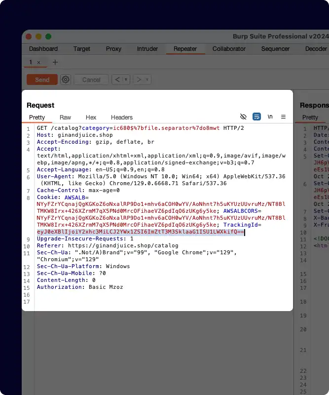 Burp Suite Image