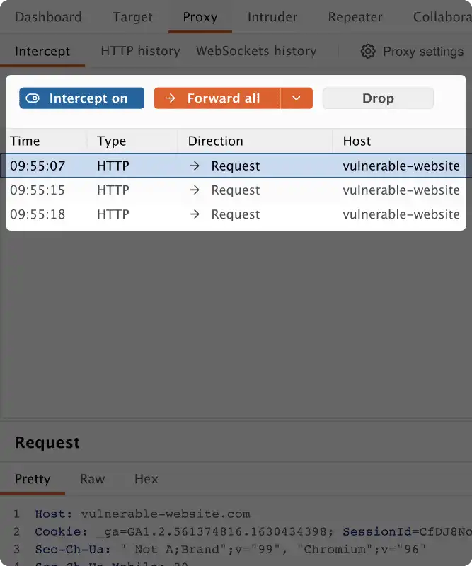Burp Suite Image