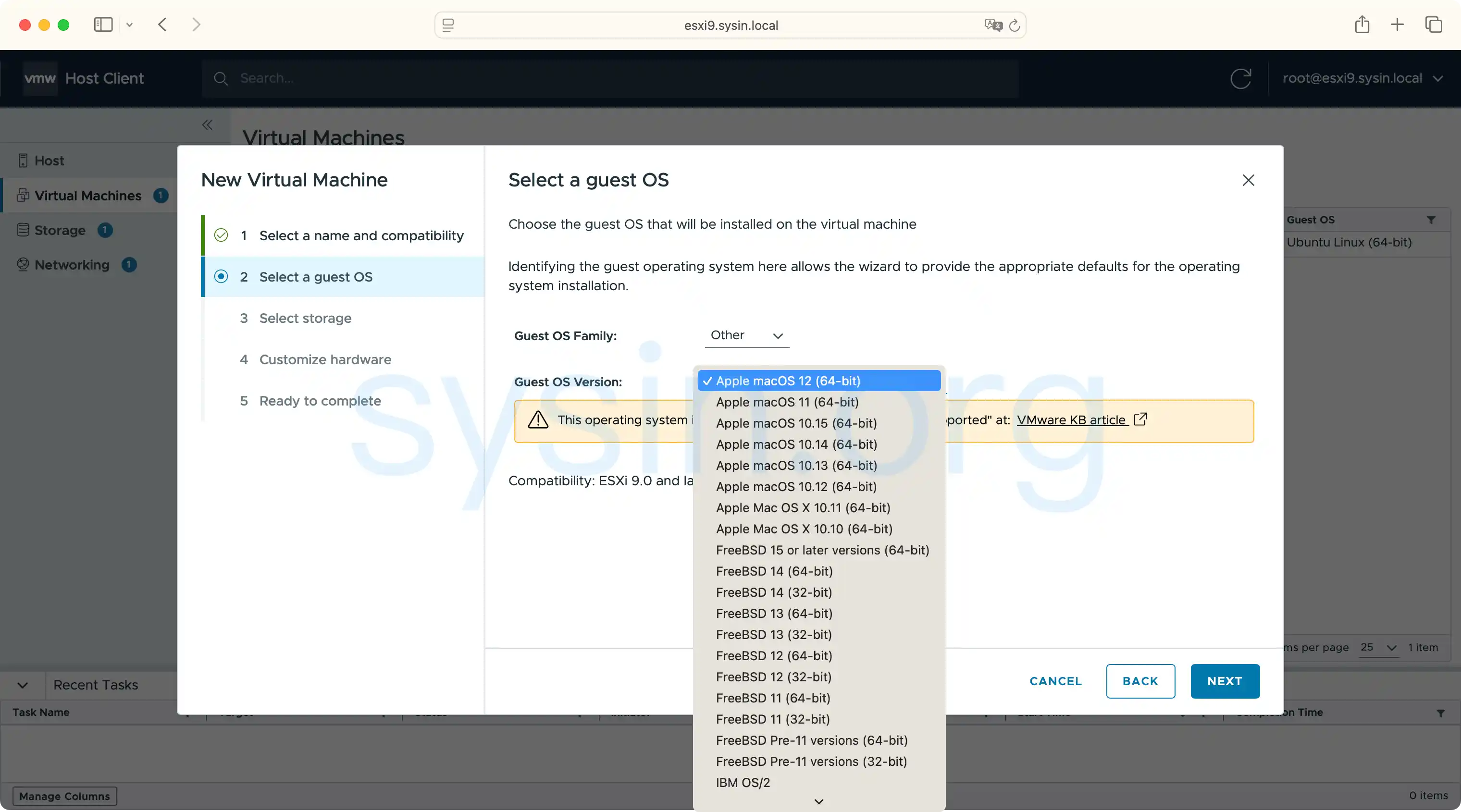 New VM in ESXi 9.1
